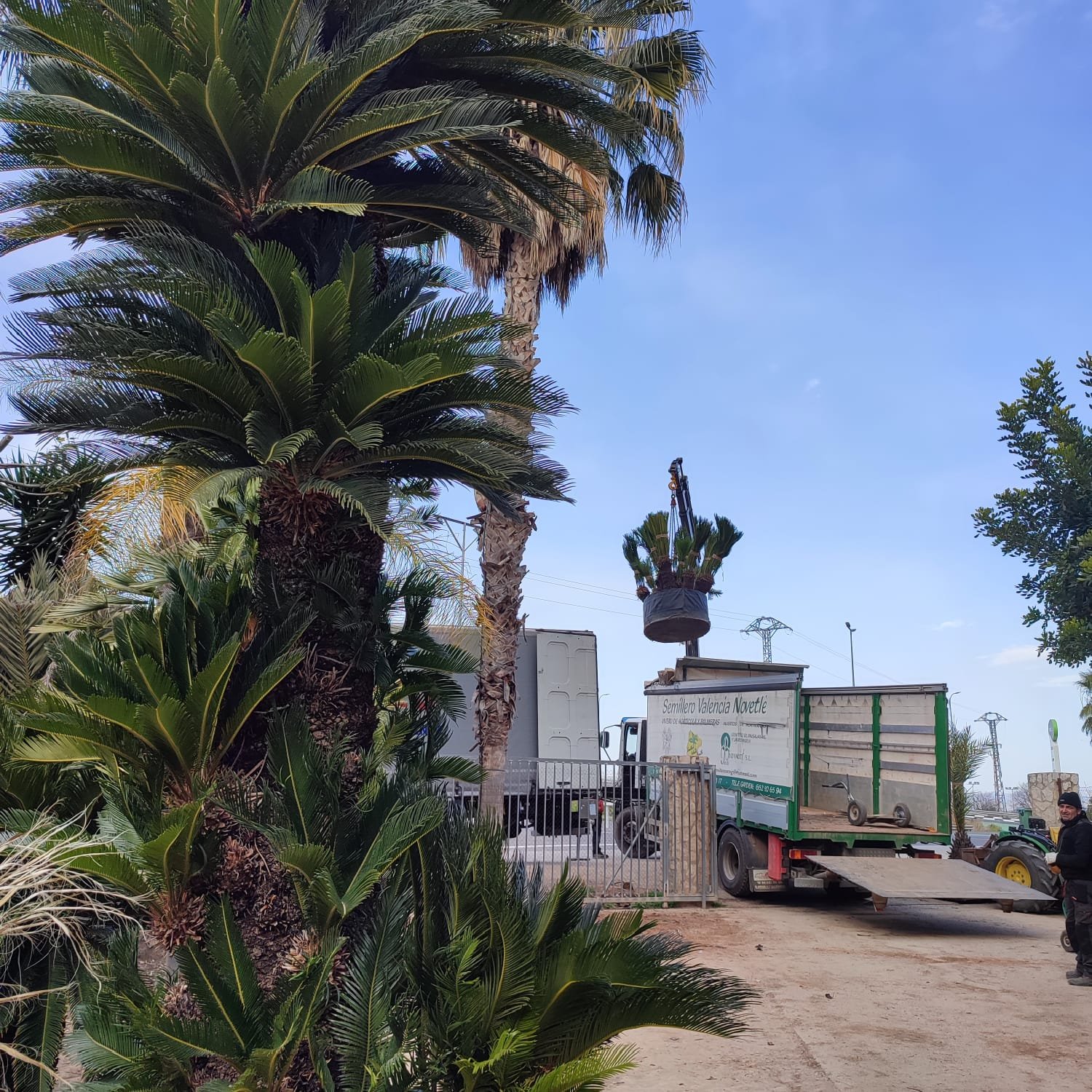 Imagen De Whatsapp 2025 06 17 A Las 12.28.14 2c409aba