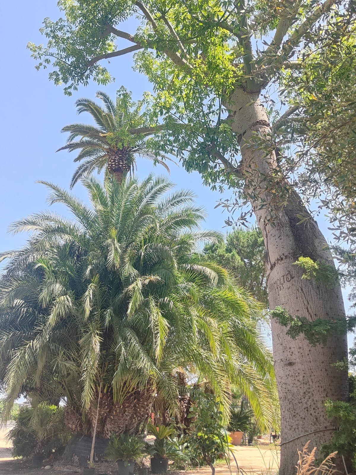 Imagen De Whatsapp 2025 06 17 A Las 12.40.51 Cb6d76c4