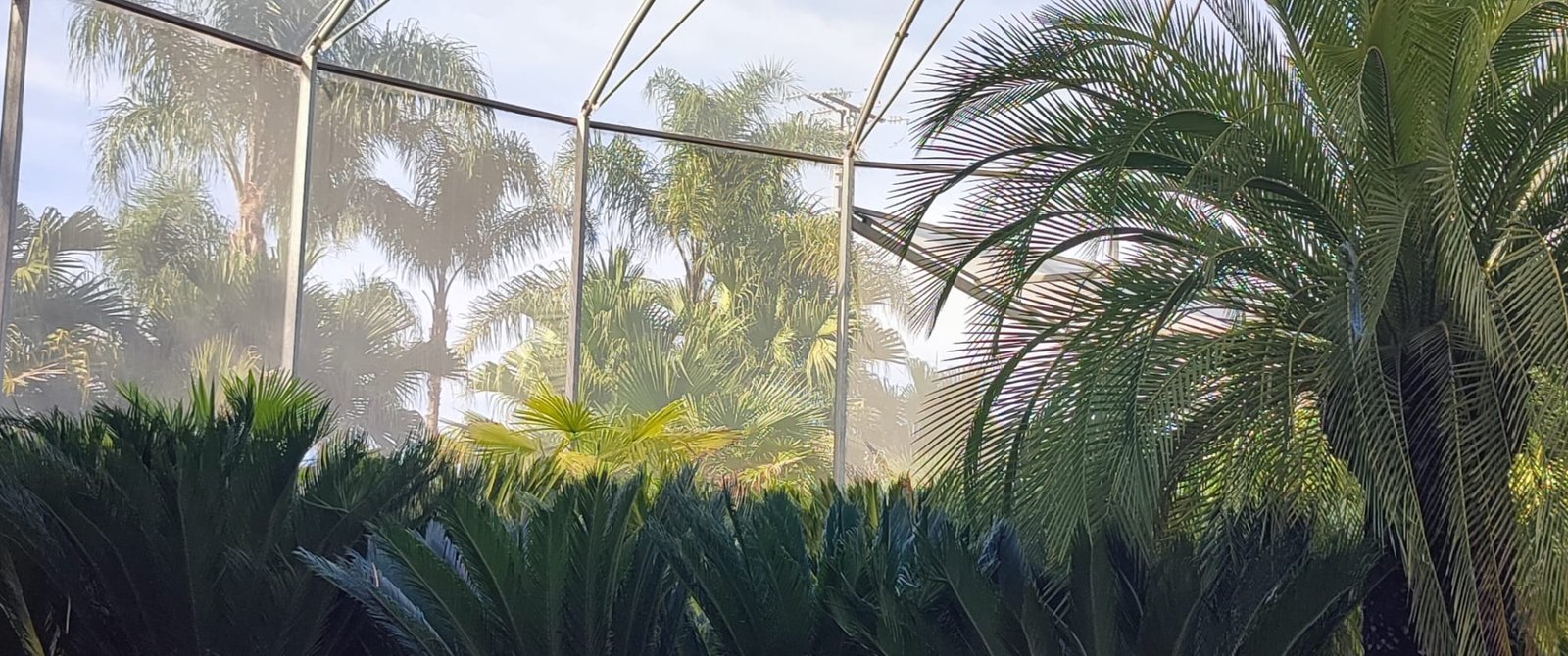 Imagen De Whatsapp 2025 06 30 A Las 08.23.20 1db449c9