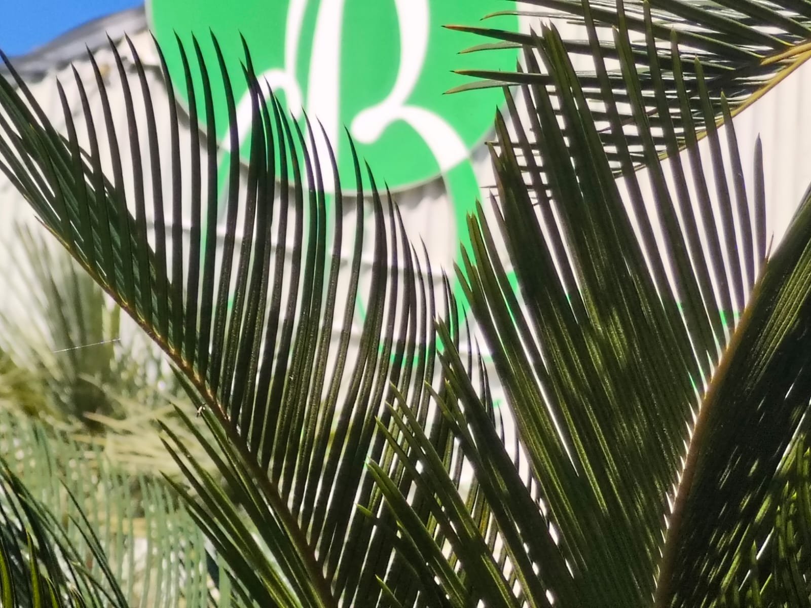 Imagen De Whatsapp 2025 09 23 A Las 21.54.46 44179324